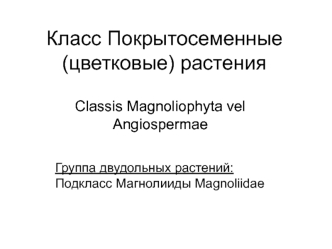 Класс Покрытосеменные (цветковые) растения. Подкласс Магнолииды Magnoliidae