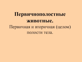 Первичнополостные животные. Первичная и вторичная (целом) полости тела