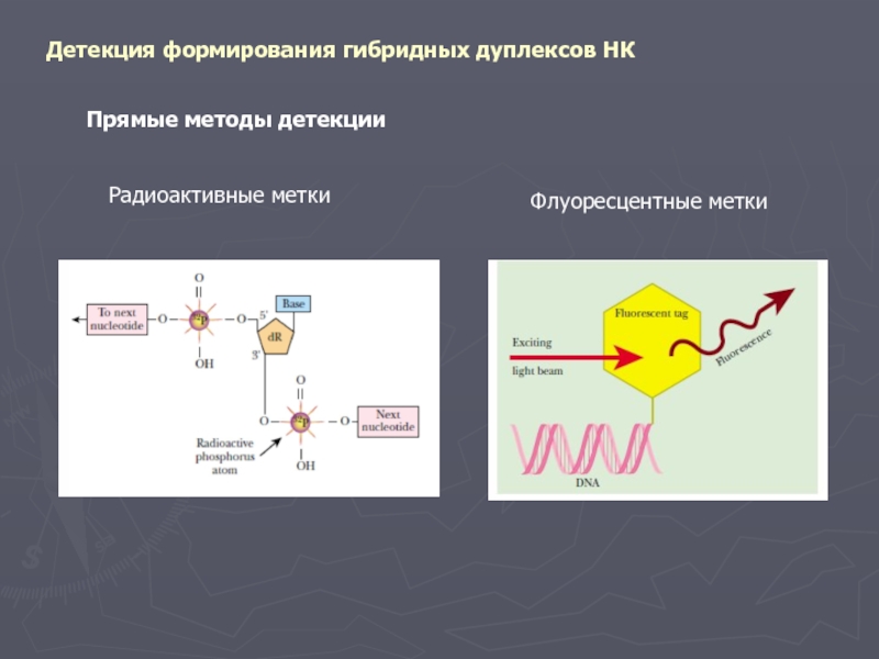 Детекция это. Радиоактивные метки. Флуоресцентные методы детекции. Метод радиоактивной метам. Метод радиоактивной метки.