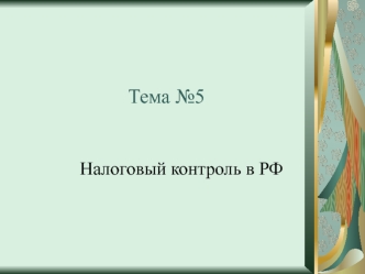 Налоговый контроль в РФ. Понятие и значение налогового контроля