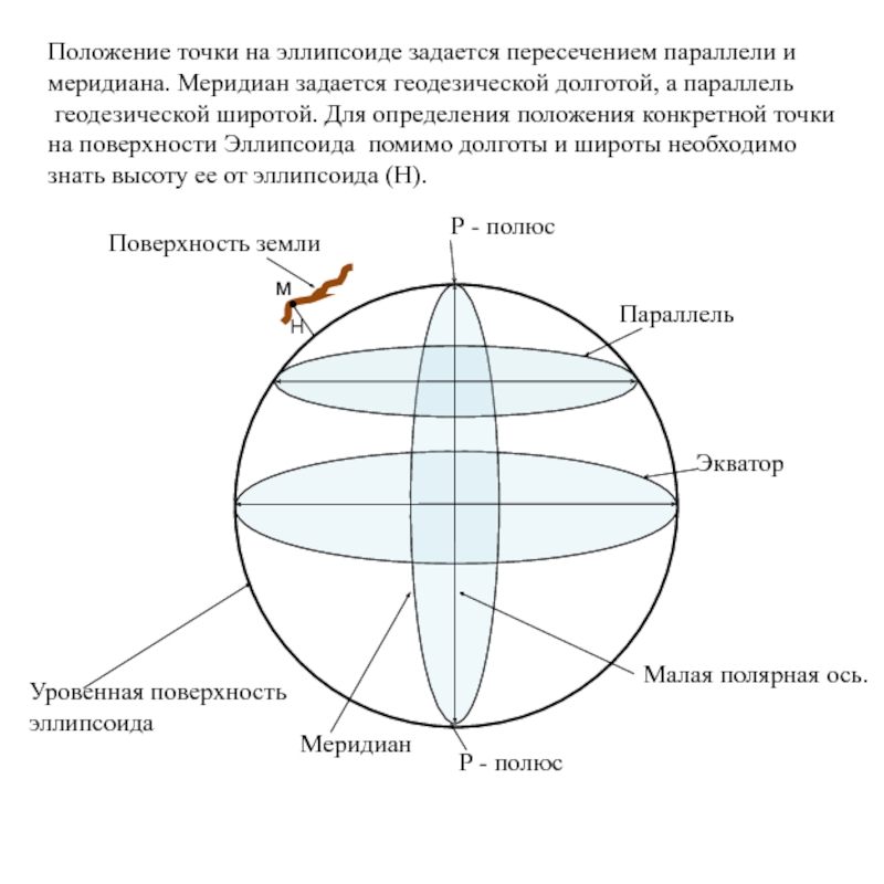 Положение точки. Параллели эллипсоида. Эллипсоид меридианы. Определение положения точки на поверхности. Точка пересечения меридиана и параллели.