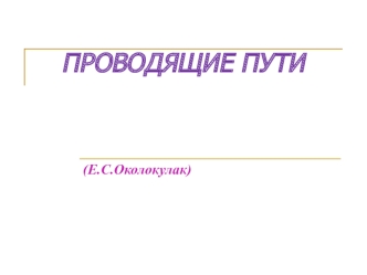 Анатомия центральной нервной системы. Проводящие пути