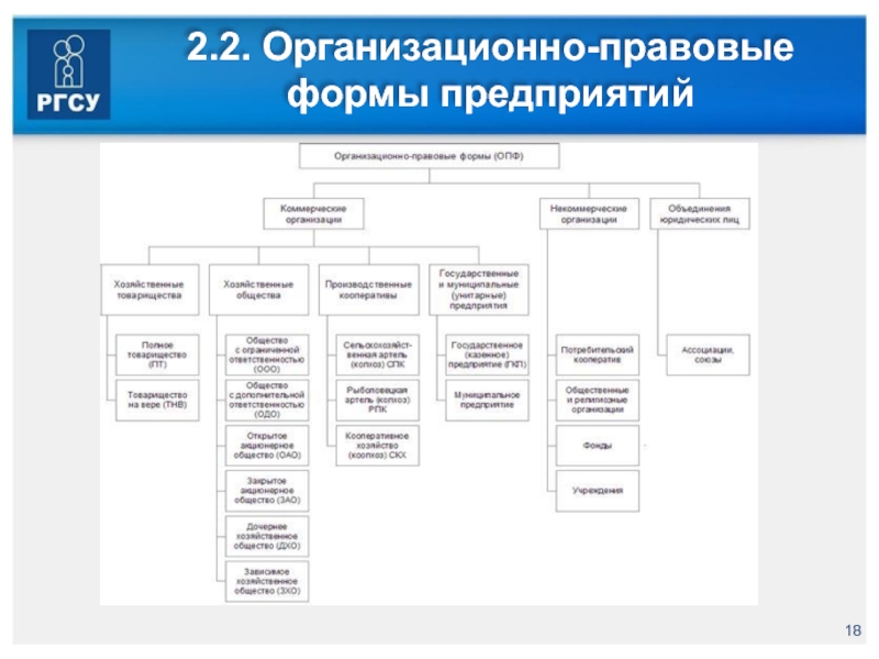 Организационно правовая форма образец