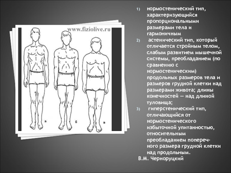 2 размер тела