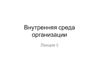 Внутренняя среда организации. (Лекция 5)