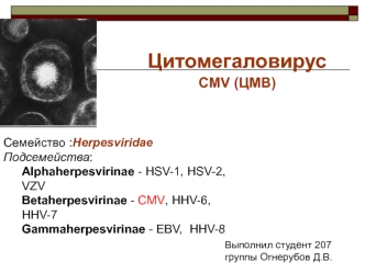 Цитомегаловирус CMV (ЦМВ)