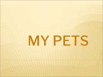 My pets