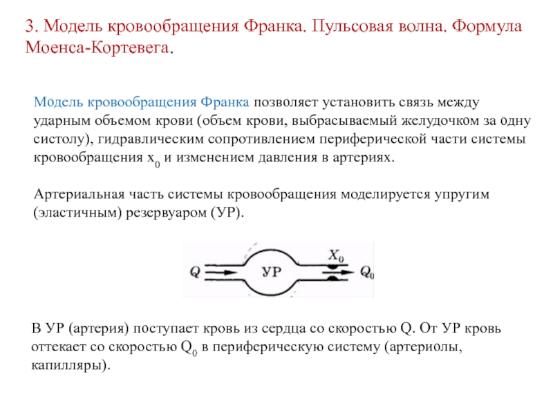 Установившаяся связь. Модель кровообращения Франка. Модель Франка сердечно-сосудистой системы. Механическая модель кровообращения Франка. Модели кровообращения Франка и Ростона.