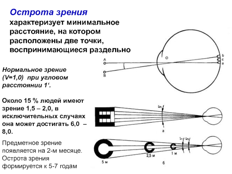 Острота зрения презентация