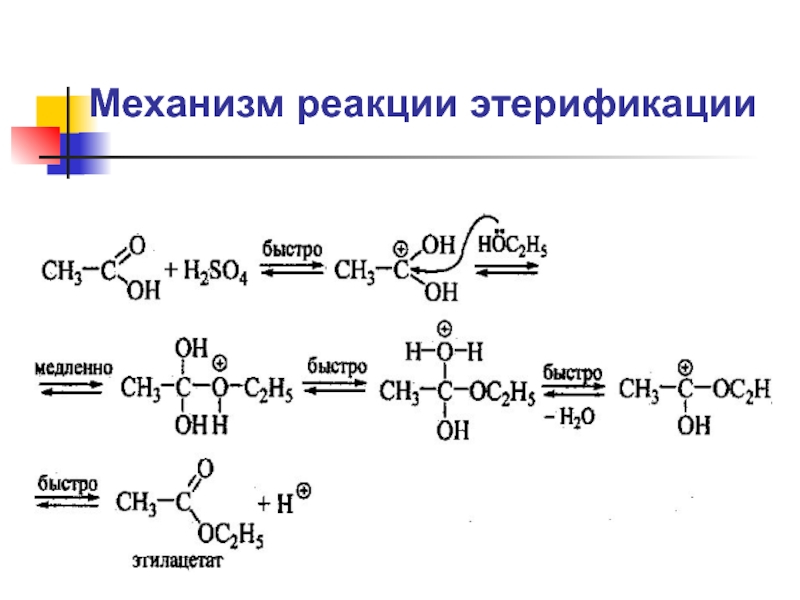 Механизм получения. Механизм реакции этерификации карбоновых кислот. Механизм этерификации карбоновых кислот. Механизм реакции этерификации. Механизм реакции этерификации дикарбоновых кислот.