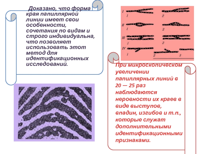 Общие и частные признаки следа