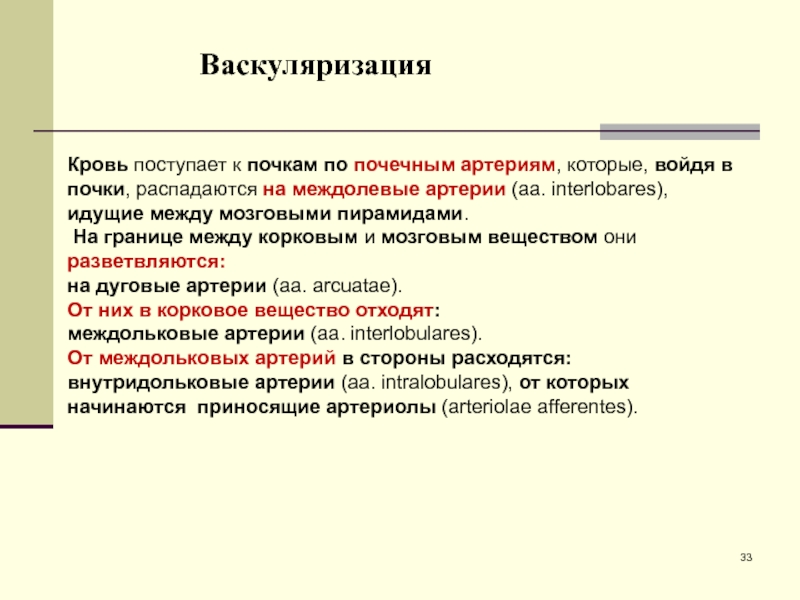 Васкуляризация это. Васкуляризация почки кратко. Васкуляризация почки гистология. Усиленная васкуляризация почек.