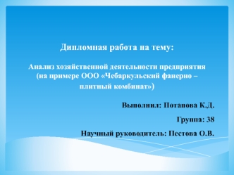 Анализ хозяйственной деятельности предприятия ООО Чебаркульский фанерно-плитный комбинат