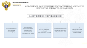 Казначейское сопровождение государственных контрактов