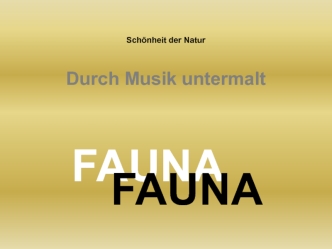 Schönheit der Natur. Durch Musik untermalt