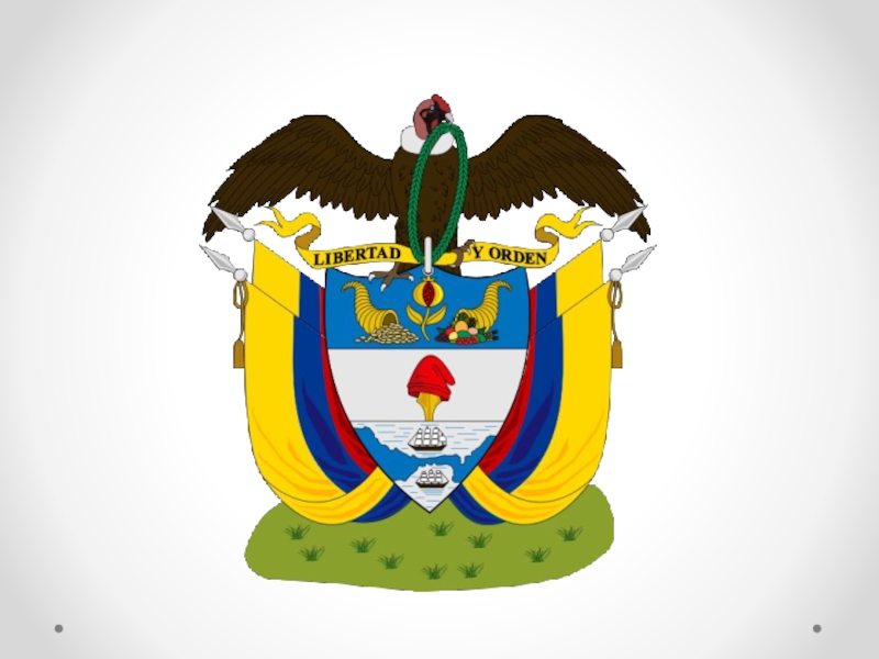 Реферат: Армия национального освобождения Боливия
