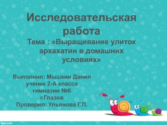 Выращивание улиток архахатин в домашних условиях