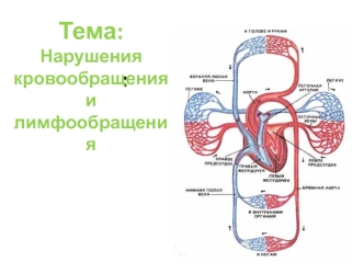 Нарушение кровообращения и лимфообращения