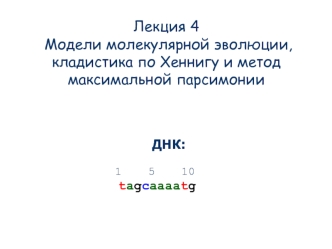 Модели молекулярной эволюции, кладистика по Хеннигу и метод максимальной парсимонии