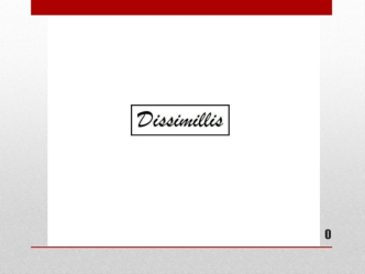 Dissimsllis. Общий анализ. Анализ конкурентов