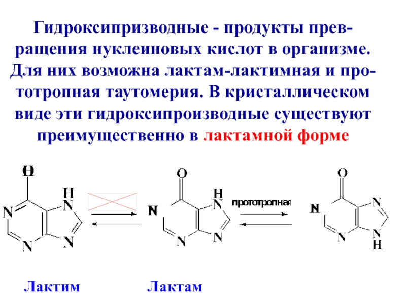 Мочевая кислота продукты. Лактам-лактимная таутомерия мочевой кислоты. Лактим лактамная таутомерия аденина и гуанина. Лактим лактамная форма азотистых оснований.