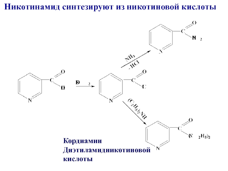 Схема прокалывания никотиновой кислоты