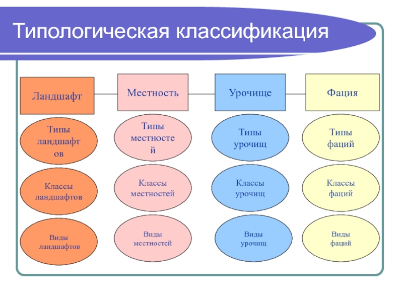 Типы местности. Классификация урочищ. Типы местности в ландшафтоведении. Классификация видов местности.