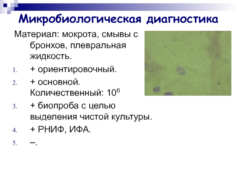 Рниф это. Диагностические смывы это. РНИФ микробиология. Микоплазмы микробиологическая диагностика.