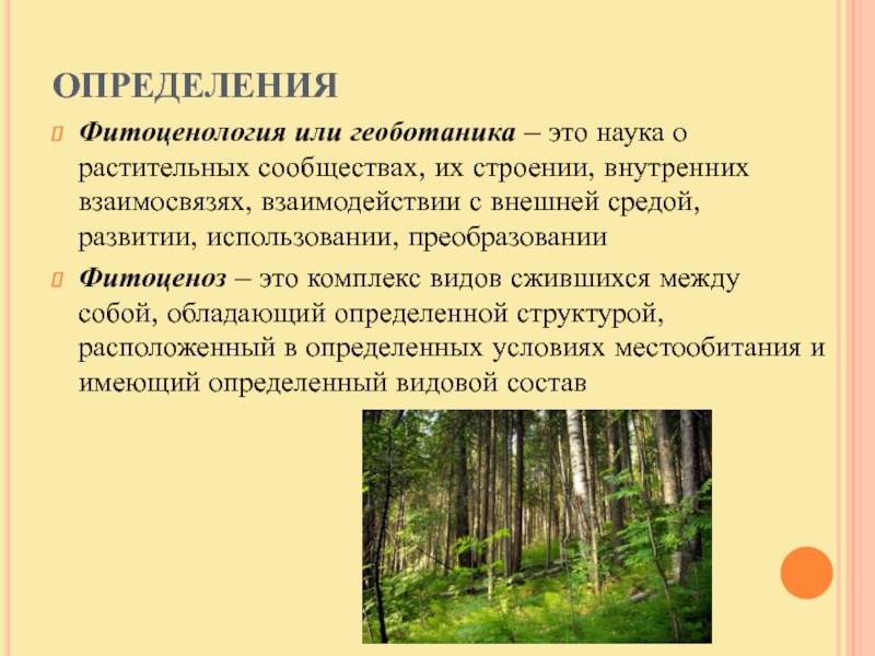 Составьте геоботаническое описание растений определенной местности по предложенному плану