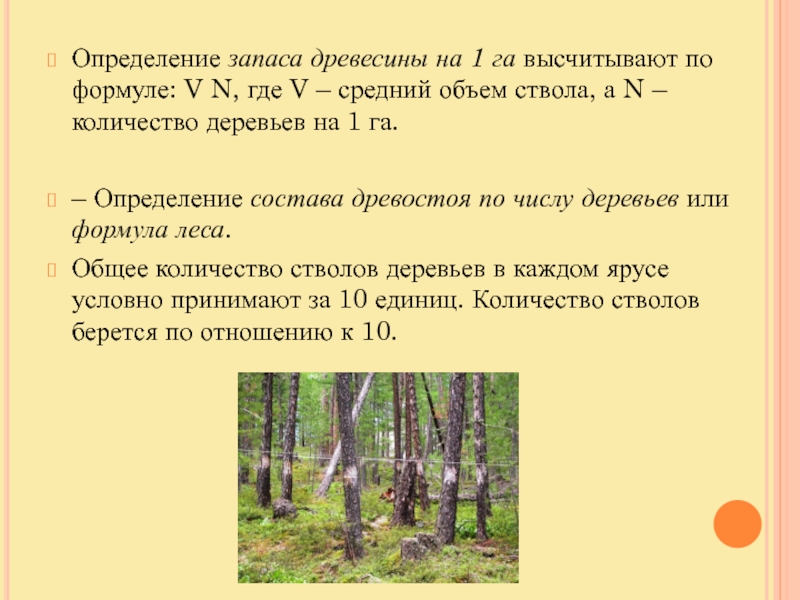 Сколько деревьев парке. Запас древесины на 1 га. Объём древесины на 1га лесосеки. Запас древостоя формула. Определение запаса древесины.