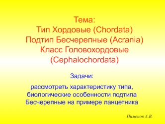 Тип Хордовые (Chordata). Подтип Бесчерепные (Acrania). Класс Головохордовые (Cephalochordata)