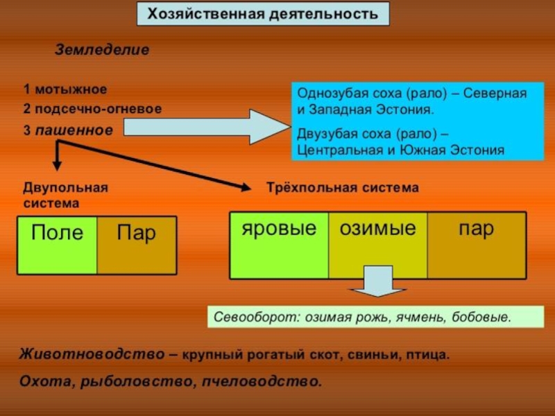 Сравните подсечно огневую систему с трехпольем. Подсечно-огневое земледелие восточных славян. Трехпольная система земледелия. Подсечно-огневое земледелие в Карелии. Подсечно-огневым способом.