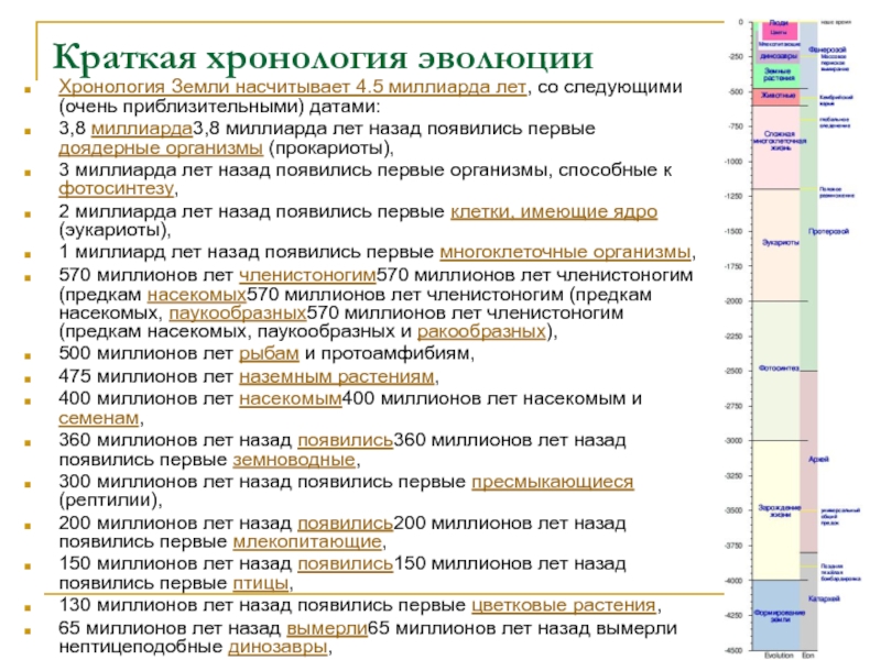 Хронология развития. Хронология эволюции. Краткая хронология эволюции. Хронологическая Эволюция. Хронология эволюции жизни на земле.