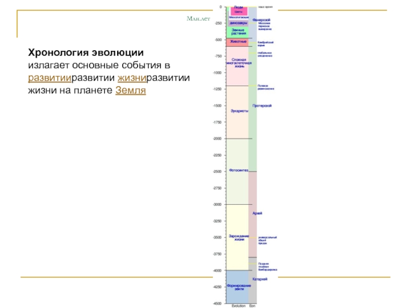 Эволюционная хронология. Хронология эволюции. Хронология эволюции жизни на земле. Краткая хронология эволюции. Хронологическая Эволюция.