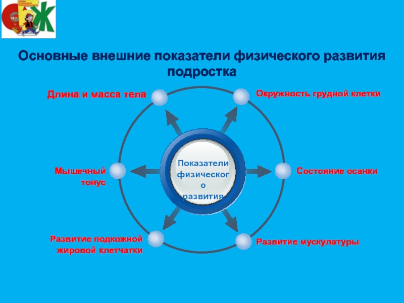 Уровень физического развития человека. Основные показатели физического развития человека. Основной показатель физического развития человека. Что является показателем физического развития человека. Показатели физического раз.