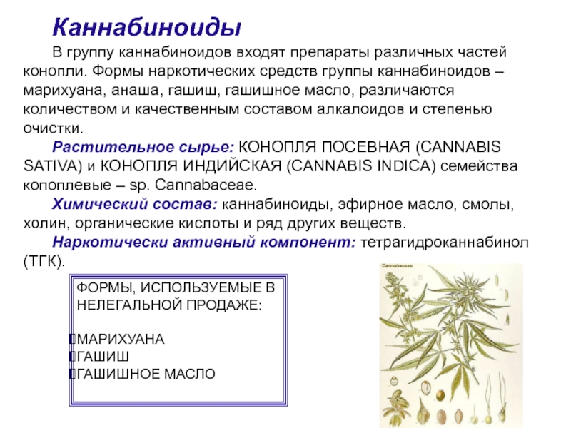 Марихуана выходит сорта крымской марихуаны