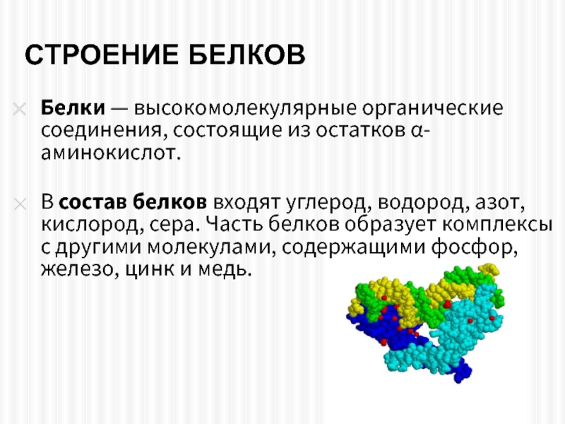 Белки состоят из остатков