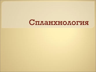 Спланхнология. Системы внутренних органов