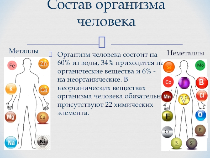 Реферат На Тему Химия Организм Человека