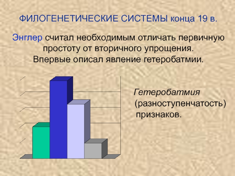 Система конец. Филогенетическая система Энглера. Гетеробатмия. Принцип гетеробатмии. Гетеробатмия это в биологии.