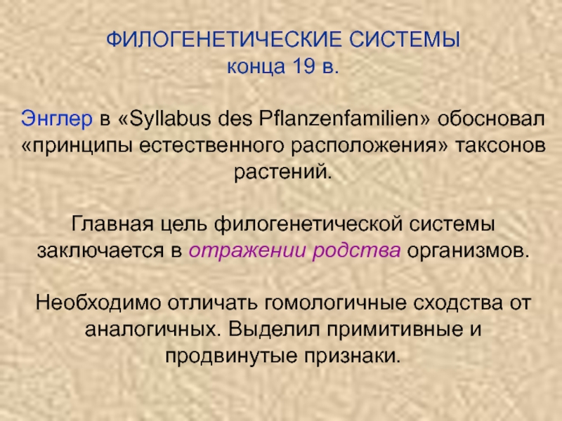 Система конец. Краткая история систематики растений. Филогенетическая система. Система Энглера. Филогенетическая система Энглера.