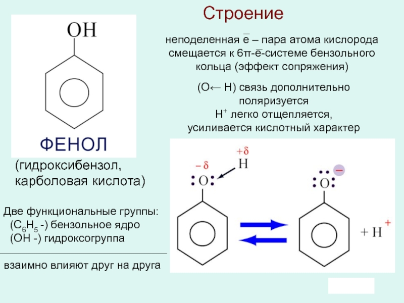 Почему фенол карболовая кислота. Фенол строение фенола. Фенол в бензольном ядре. Фенол nanh2. Строение молекул фенола химические свойства фенола.