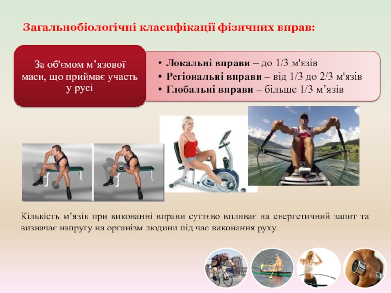 Реферат: Роль фізичних вправ в життєдіяльності організму