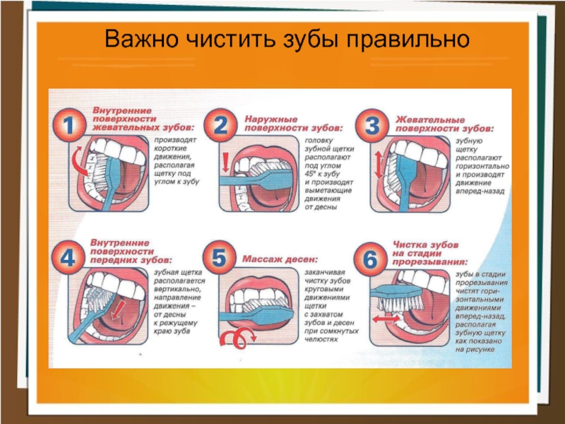 Презентация как правильно чистить зубы для детей