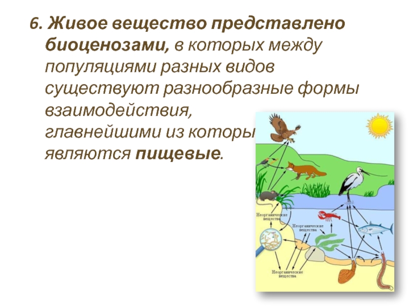 Популяция биосфера. Обитатели биоценоза. Биологическое разнообразие биоценозов. Формы организации живого вещества. Полевой биоценоз.