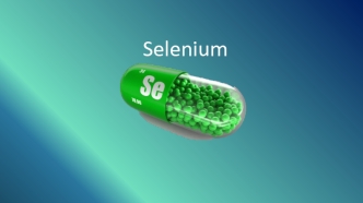 Selenium dla testowania