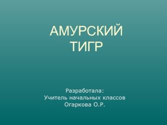 Амурский тигр