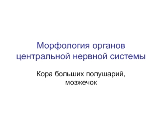 Морфология органов центральной нервной системы. Кора больших полушарий, мозжечок