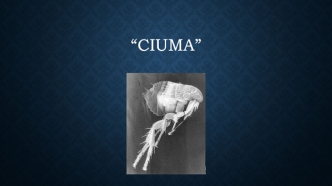 Ciuma