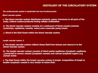 Histology of the circulatory system